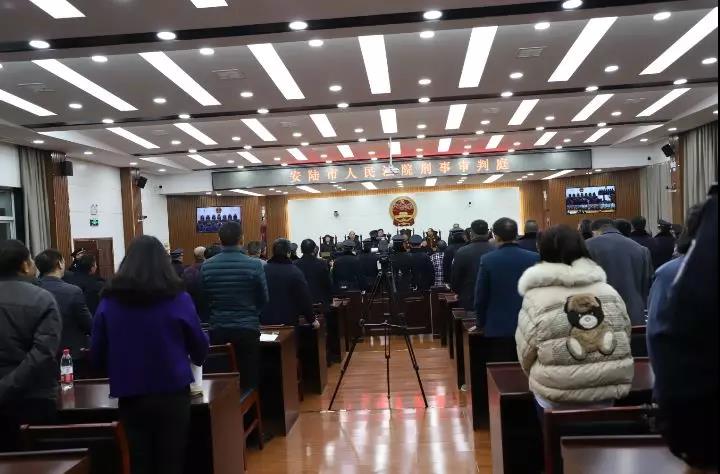 扫黑除恶3.jpg